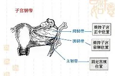 	5掿私幆h铞h坰骶MP舤晴€Nx錾?>鉃_q??Jm??]齭莈%?L~飭?!b!鼏?X€螛鄫Z2頀牄a-九游体育入口